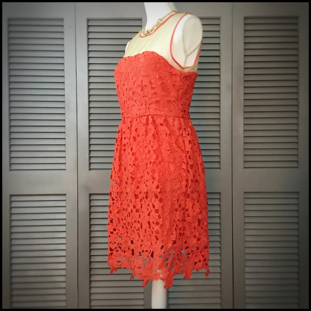 Darling Coral 'Sienna' Lace Dress - Picture 7 of 13